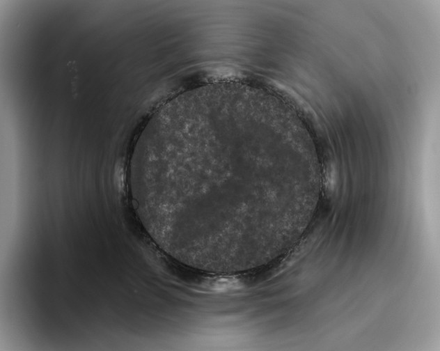 X0000093480715200711091626