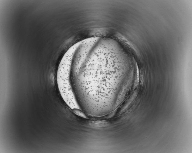 X0000093480716200711091626