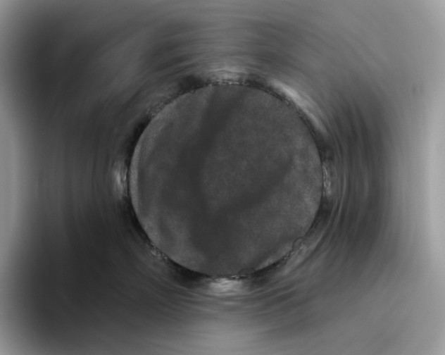 X0000093480718200711091626