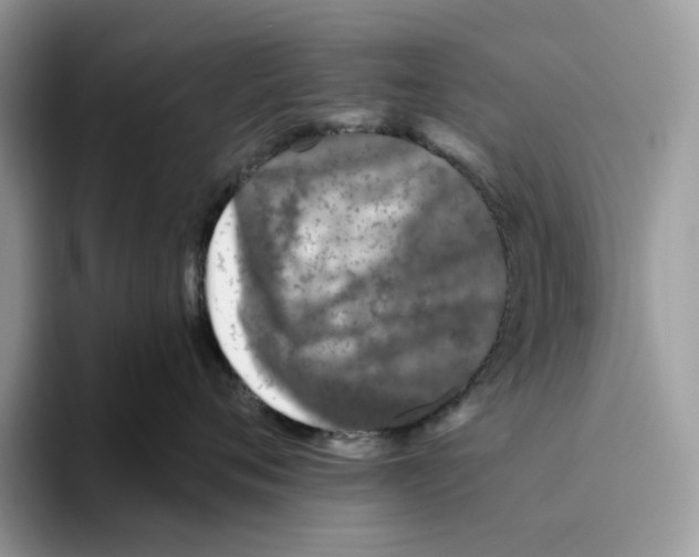 X0000093480720200711091626