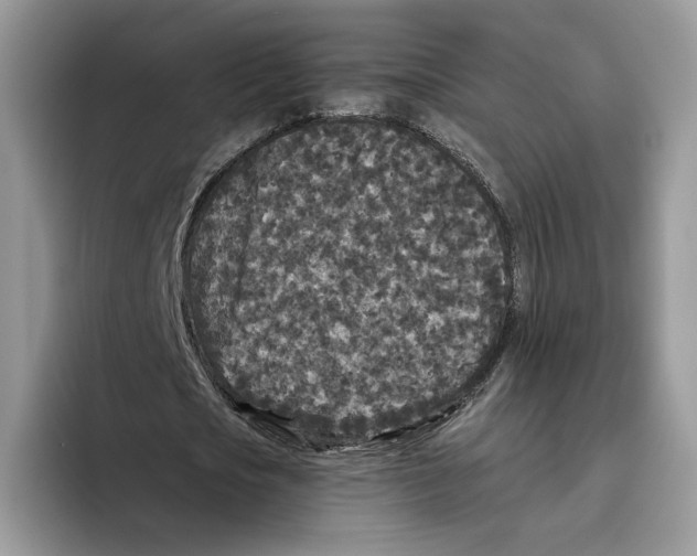 X0000093480721200711091625