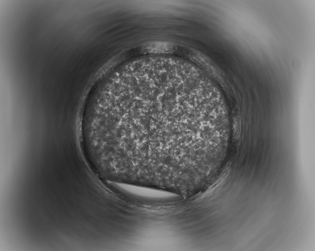 X0000093480725200711091625
