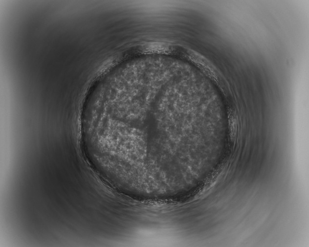 X0000093480729200711091626