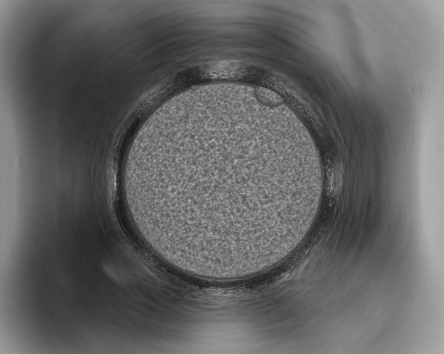 X0000093480733200711091626