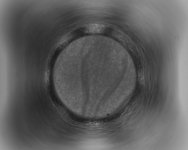 X0000093480735200711091626