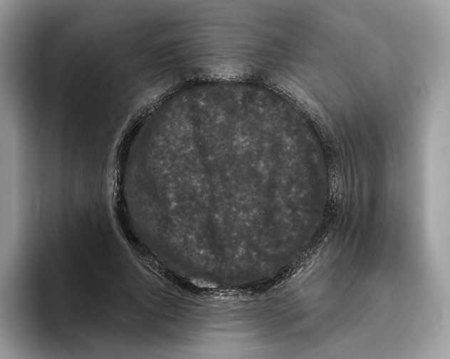 X0000093480736200711091626