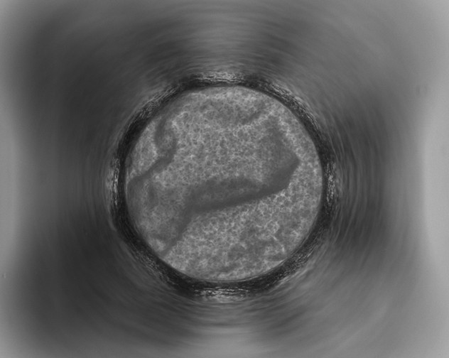 X0000093480739200711091626