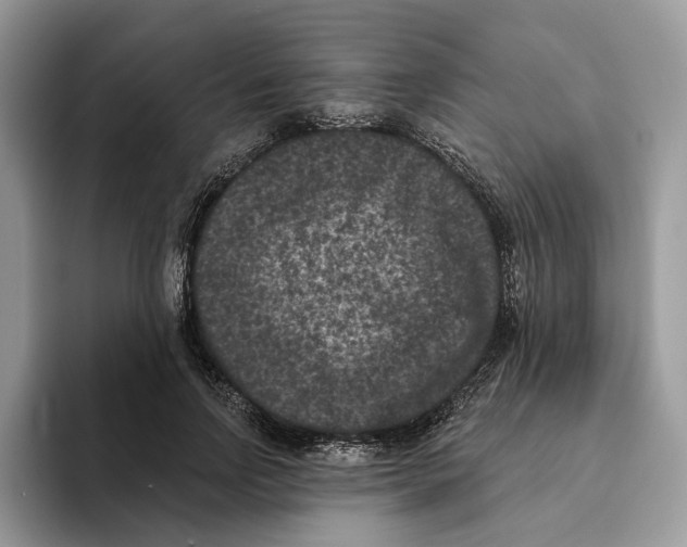 X0000093480742200711091626
