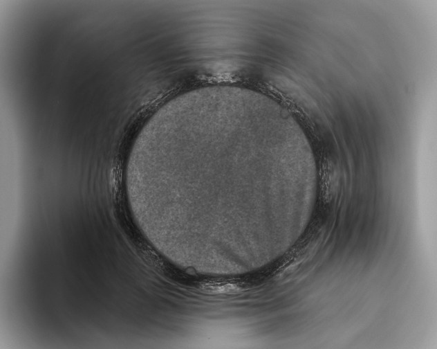 X0000093480747200711091626