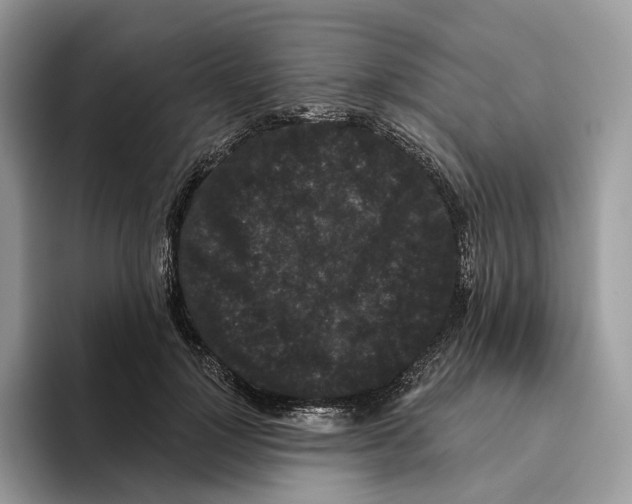 X0000093480748200711091626