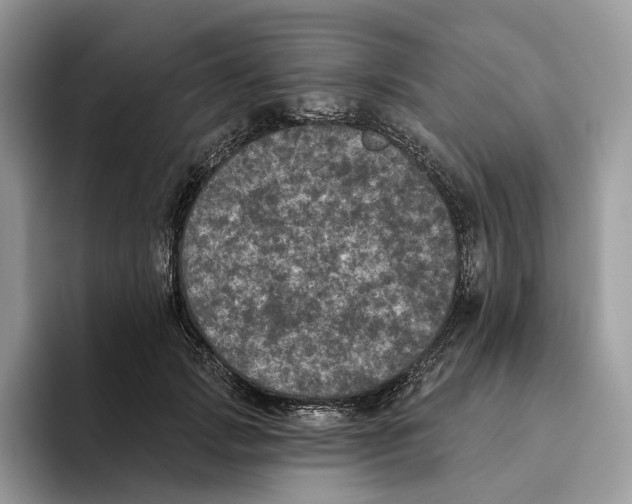 X0000093480749200711091626