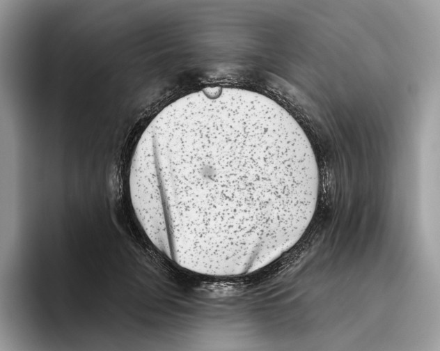 X0000093480751200711091626