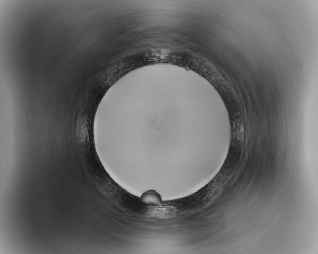 X0000093480754200711091626