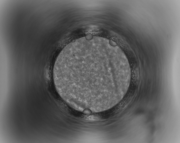 X0000093480755200711091626