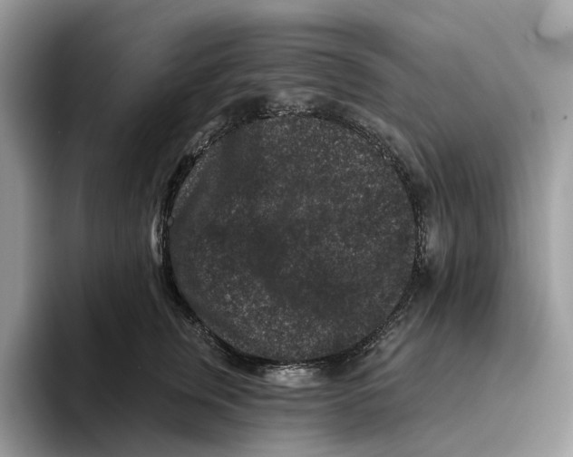 X0000093480759200711091626
