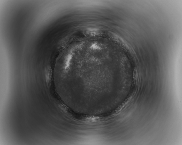 X0000093480760200711091626