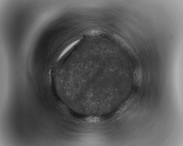 X0000093480762200711091626
