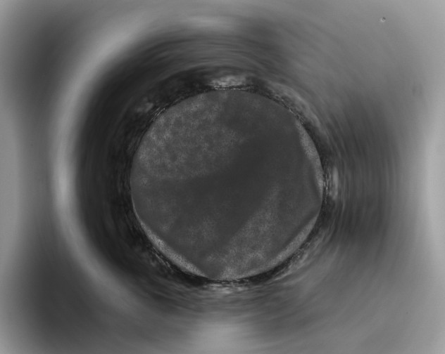 X0000093480763200711091626