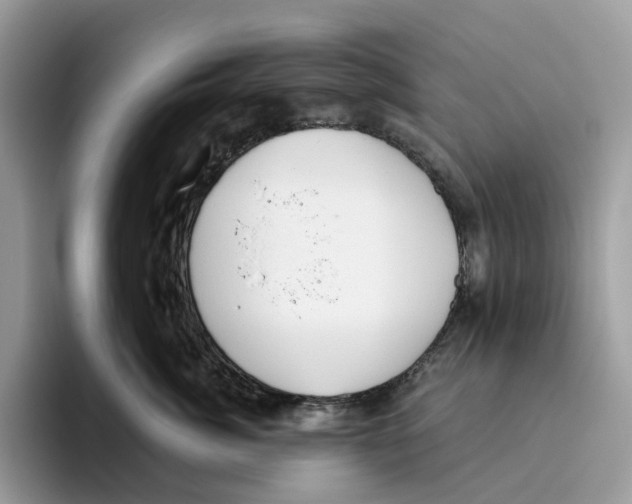 X0000093480764200711091626
