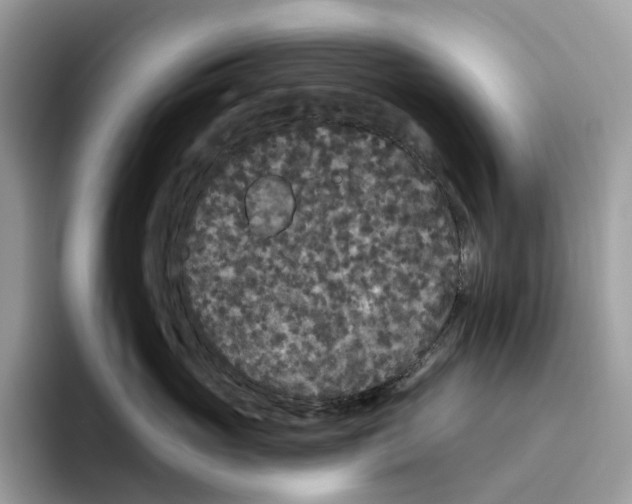 X0000093480765200711091626