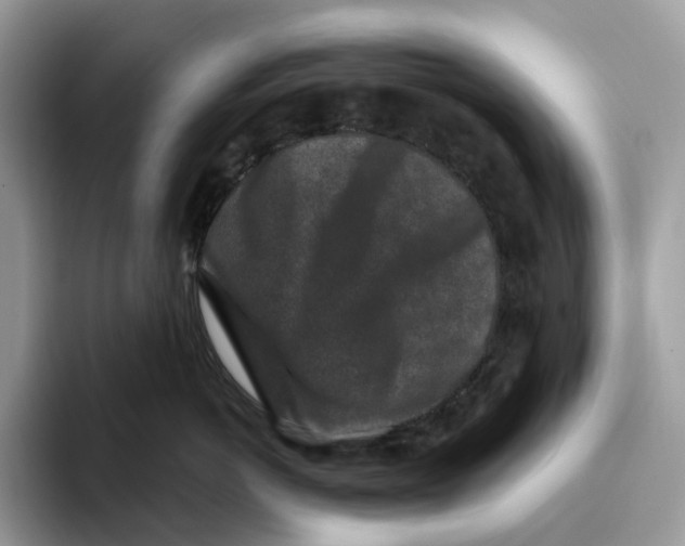 X0000093480766200711091626