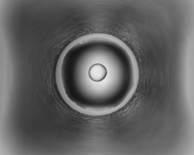 X0000093480769200711091625
