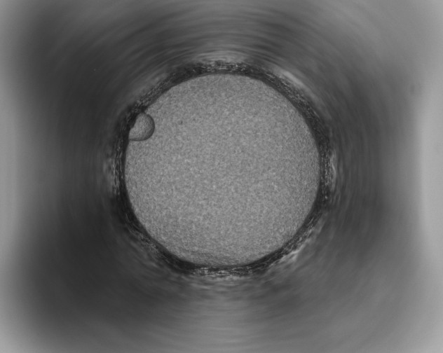 X0000093480774200711091625