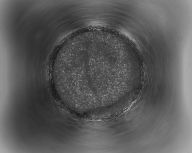 X0000093480775200711091625