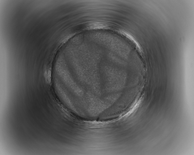 X0000093480777200711091625