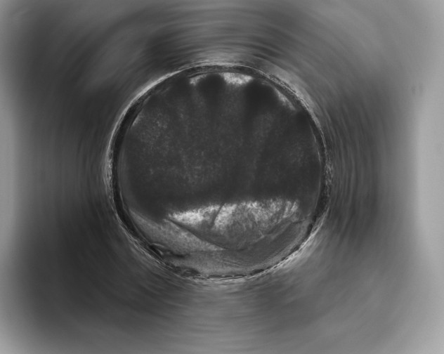 X0000093480779200711091625