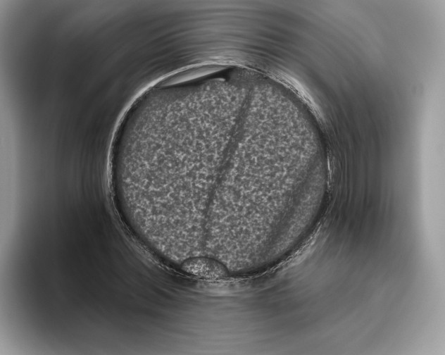 X0000093480780200711091625