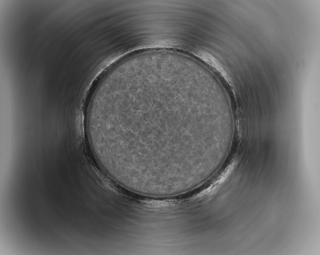 X0000093480781200711091625