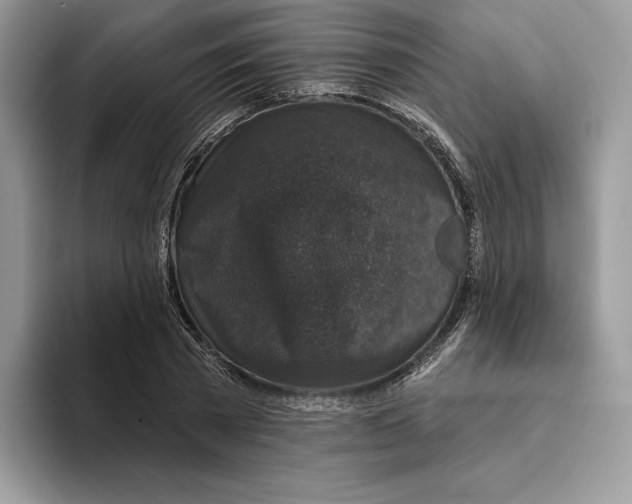 X0000093480785200711091625