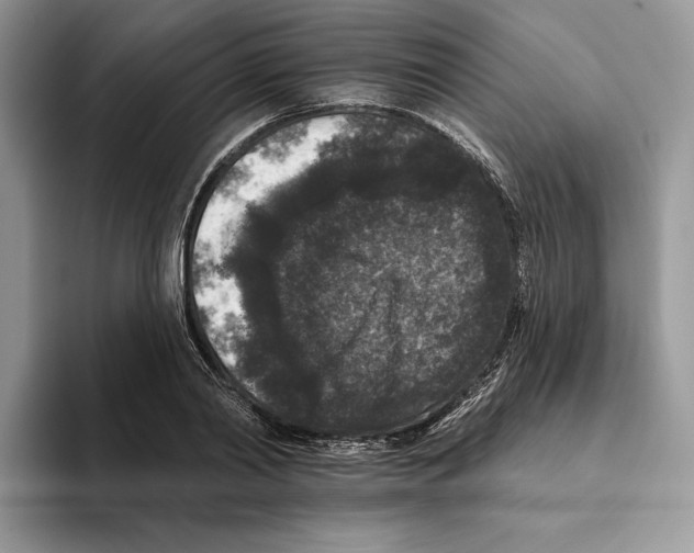 X0000093480790200711091625