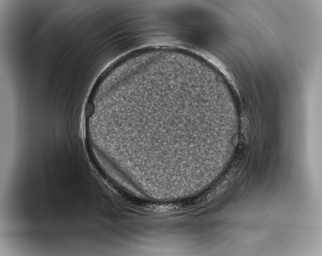X0000093480791200711091625