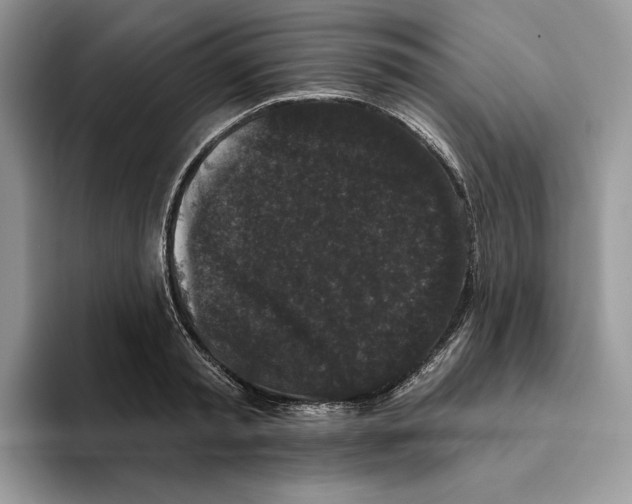 X0000093480797200711091625