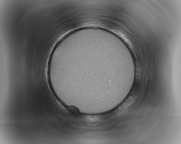 X0000093480799200711091625