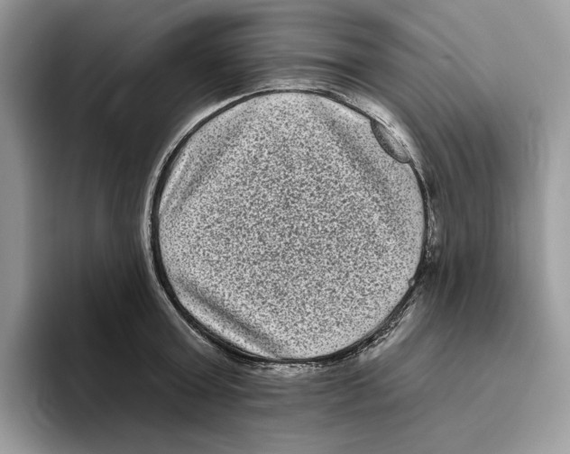 X0000093480803200711091625