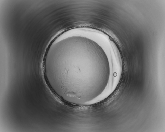 X0000093480806200711091625