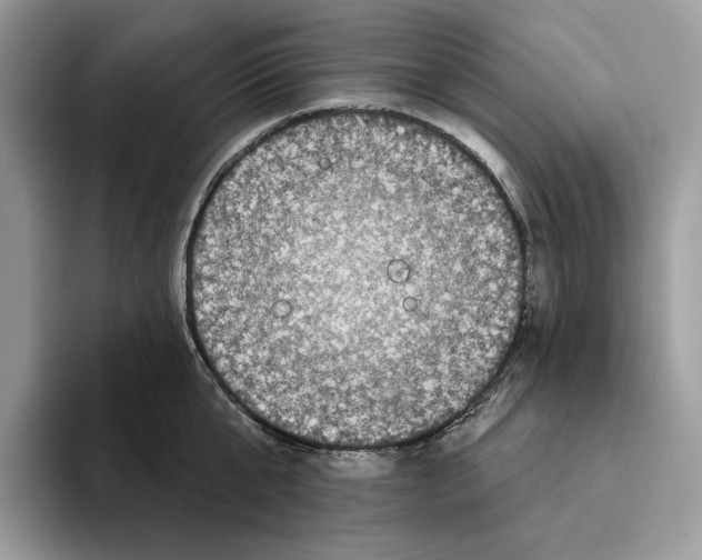 X0000093480807200711091625
