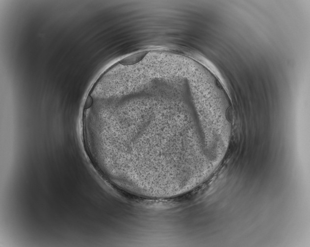 X0000093480811200711091625