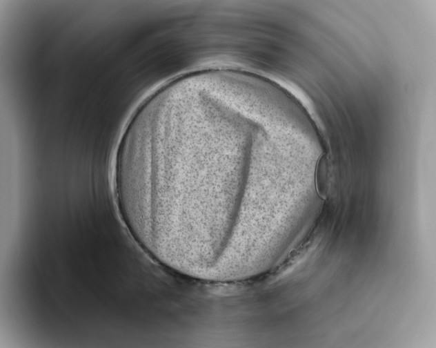 X0000093480815200711091625