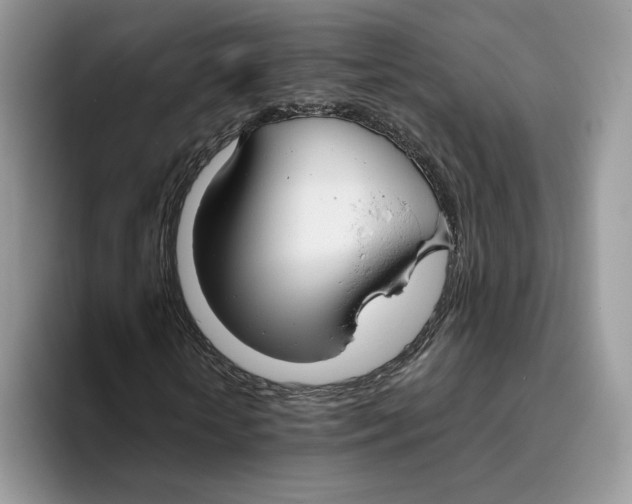 X0000093480818200711091624