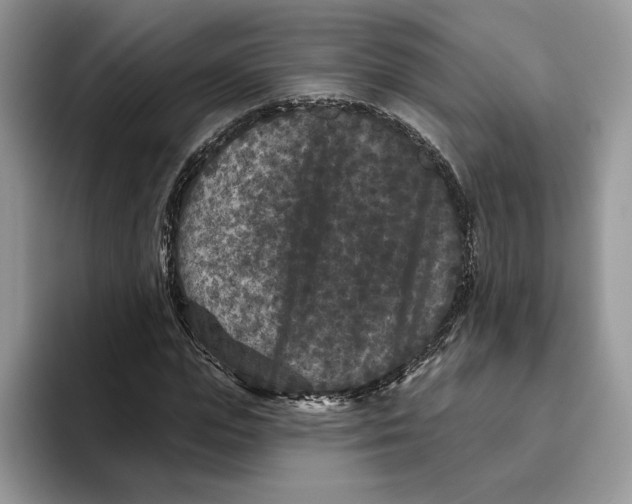X0000093480823200711091624
