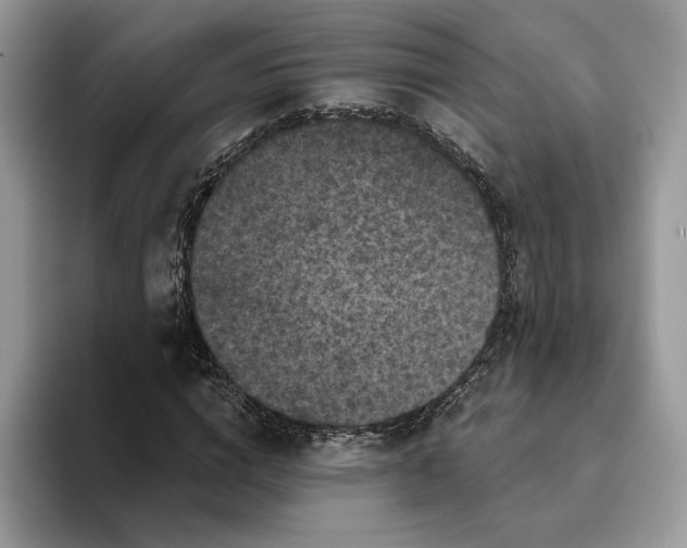 X0000093480824200711091624