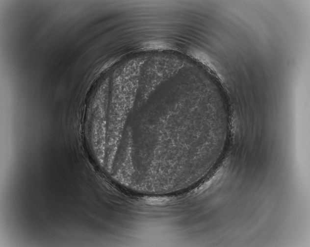 X0000093480825200711091624