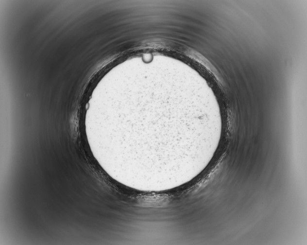 X0000093480826200711091624