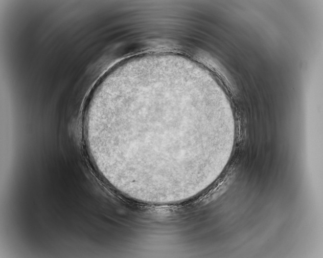 X0000093480828200711091624
