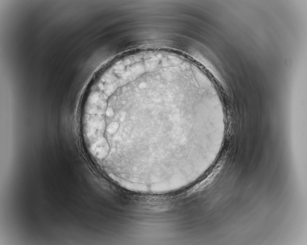 X0000093480832200711091624