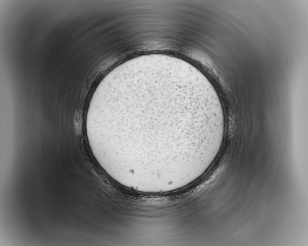 X0000093480833200711091625